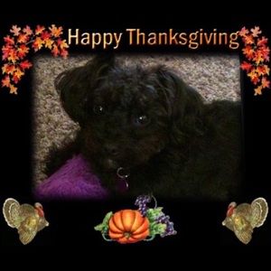 Meet your Posher, Rhonda